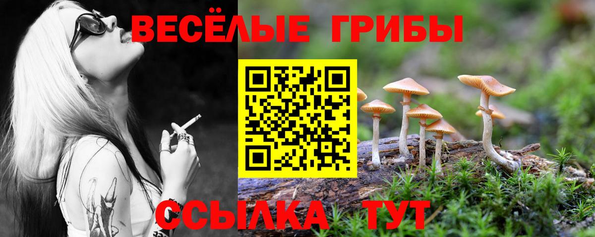 Галлюциногенные грибы GOLDEN TEACHER  Вход с VPN  Выкса 